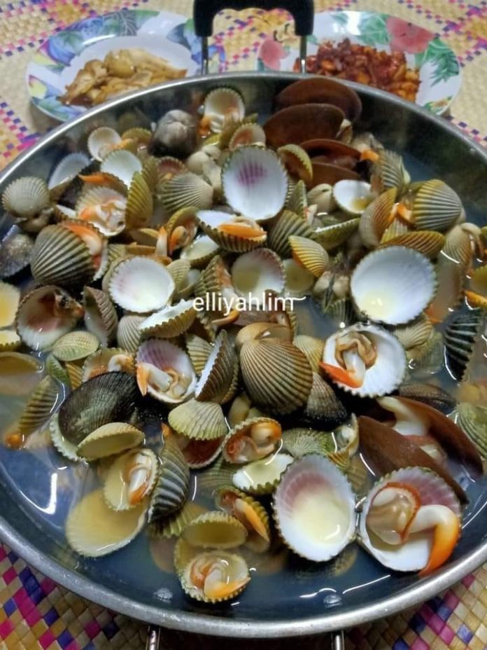 masak sup kerang Kipas / kerang darah by Elliyah Lim