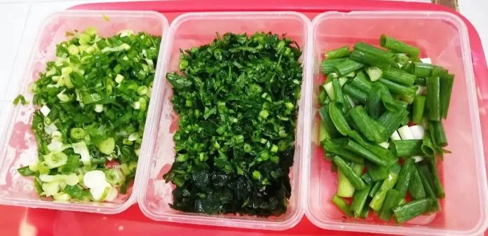 menyimpan daun bawang dan seledri agar awet by Yulia Dwi S menyimpan daun bawang dan seledri agar awet by Yulia Dwi S