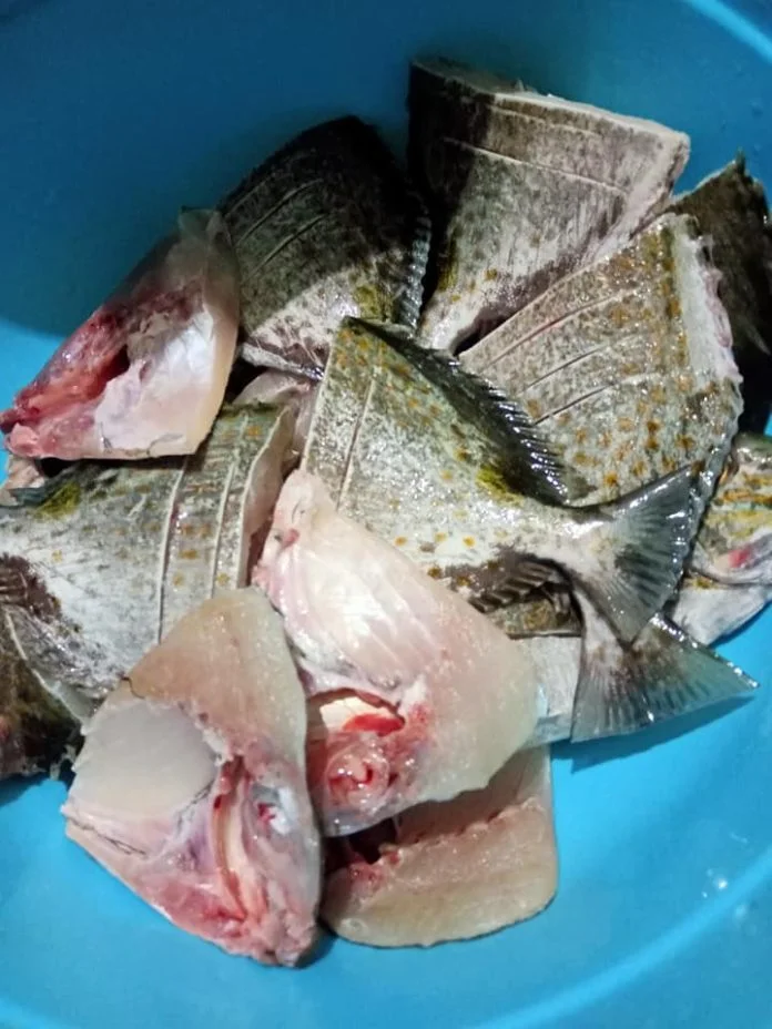 Cara siangi ikan untuk di Konsumsi 2 atau 3 hari atau 1 bulan ke depan by Elliyah Lim 5