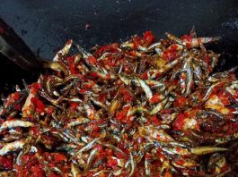 Teri home Made by Elliyah Lim 4