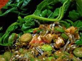 Sambel goreng tahu teri terong petai