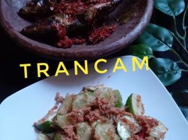 TRANCAM