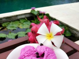 Homemade Dragon Fruit & Banana Ice Cream