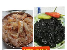 PETIS UDANG