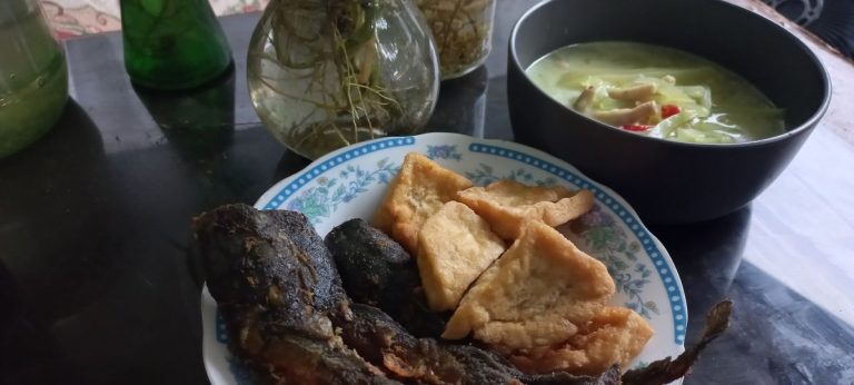resep Sayur Lodeh Labu Siam by Yayuk Watini