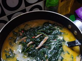 DAUN PEPAYA JEPANG MASAK SANTAN